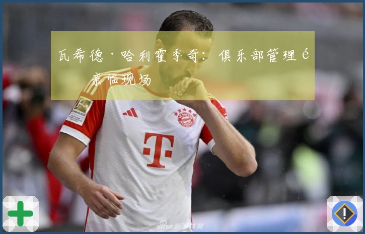 瓦希德·哈利霍季奇：俱乐部管理需亲临现场