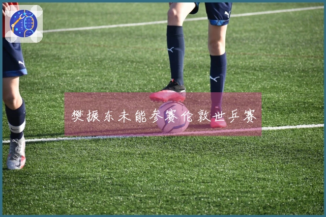 樊振东未能参赛伦敦世乒赛