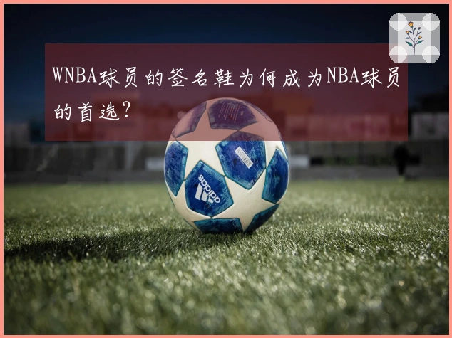 WNBA球员的签名鞋为何成为NBA球员的首选？