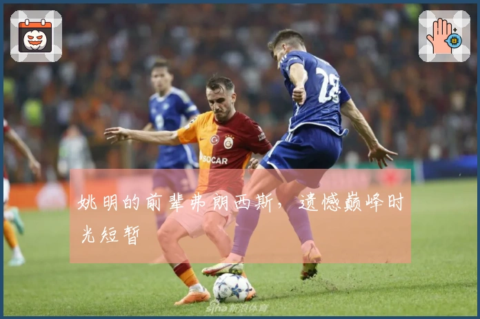 姚明的前辈弗朗西斯，遗憾巅峰时光短暂